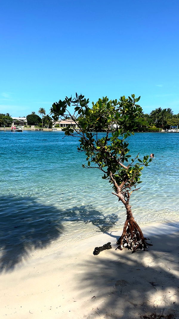 ellieblue2842 image ~ Altpins