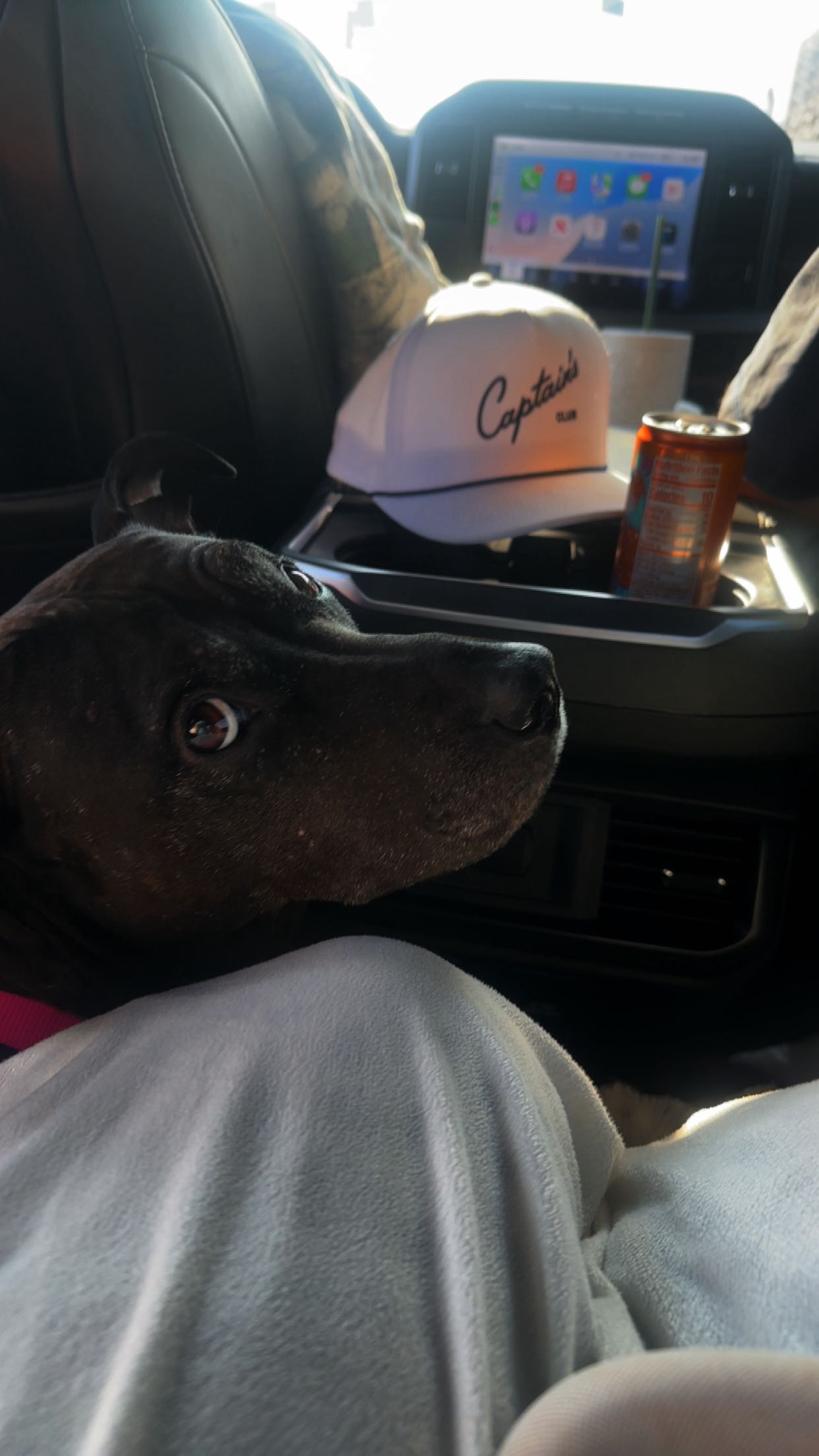 ellieblue2842 snapchat image archive image