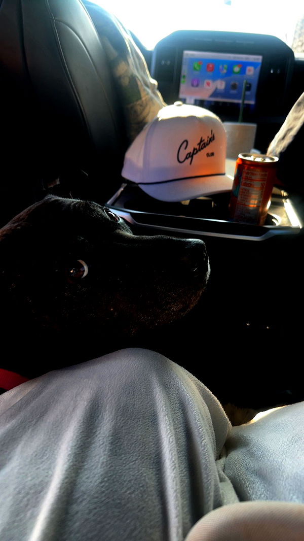 ellieblue2842 image ~ Altpins