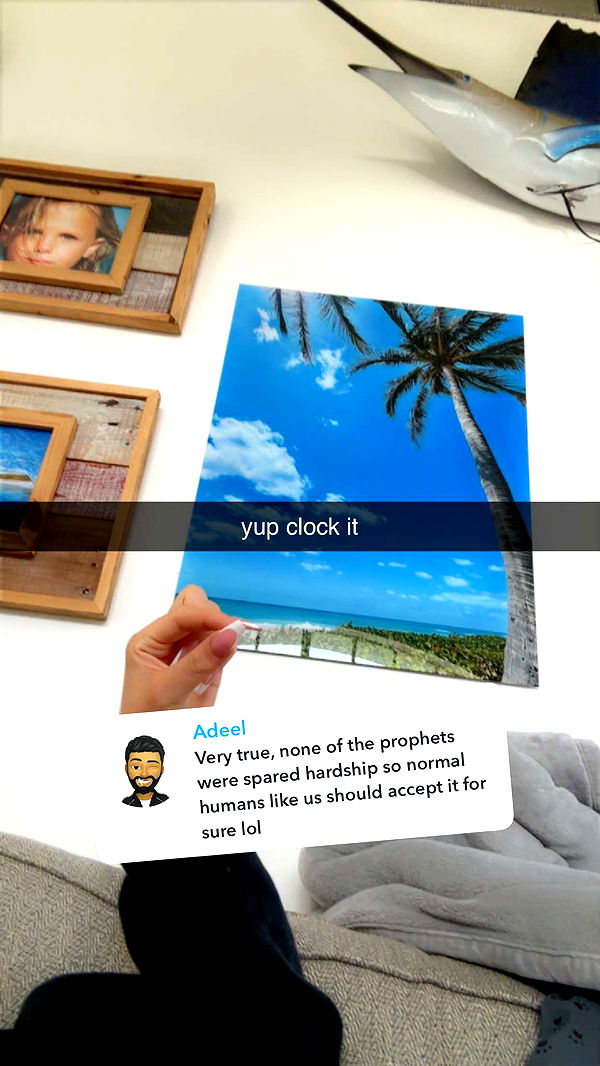 ellieblue2842 image ~ Altpins