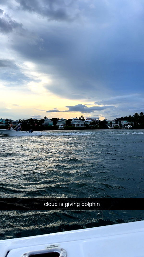 ellieblue2842 image ~ Altpins