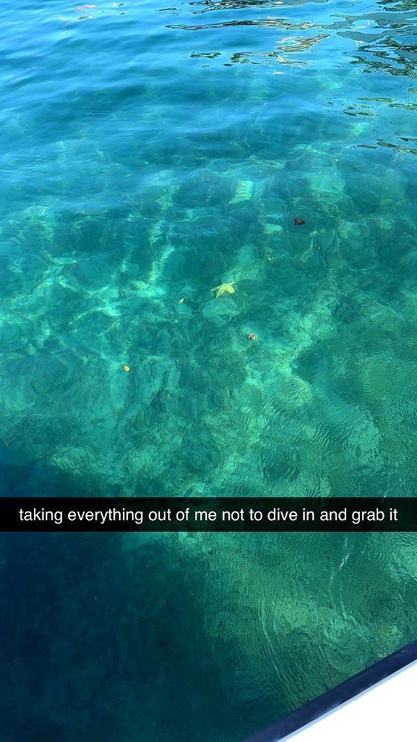 ellieblue2842 image ~ Altpins