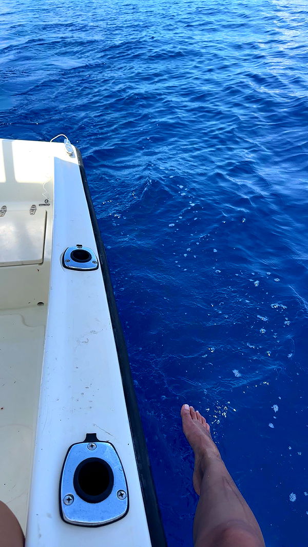 ellieblue2842 image ~ Altpins