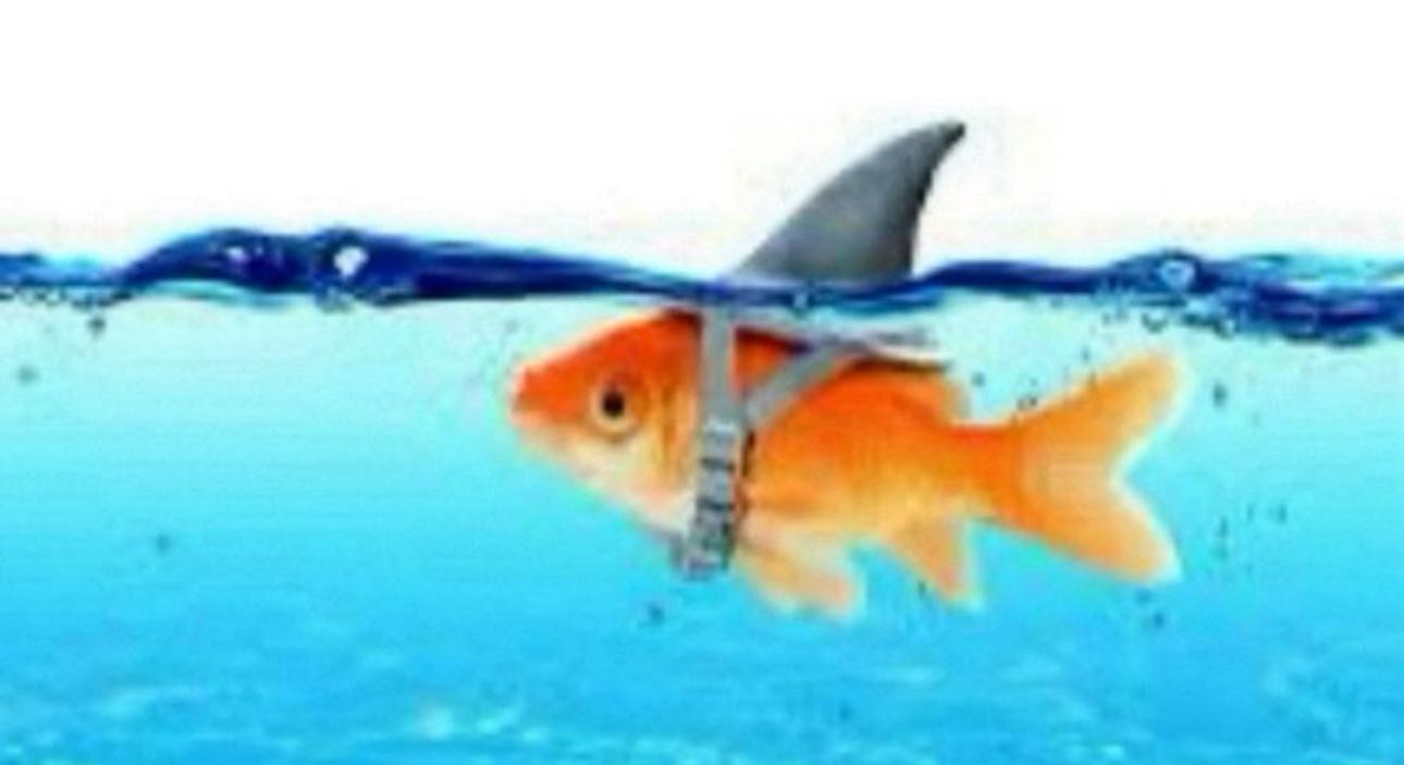 ellieblue2842 snapchat image archive image