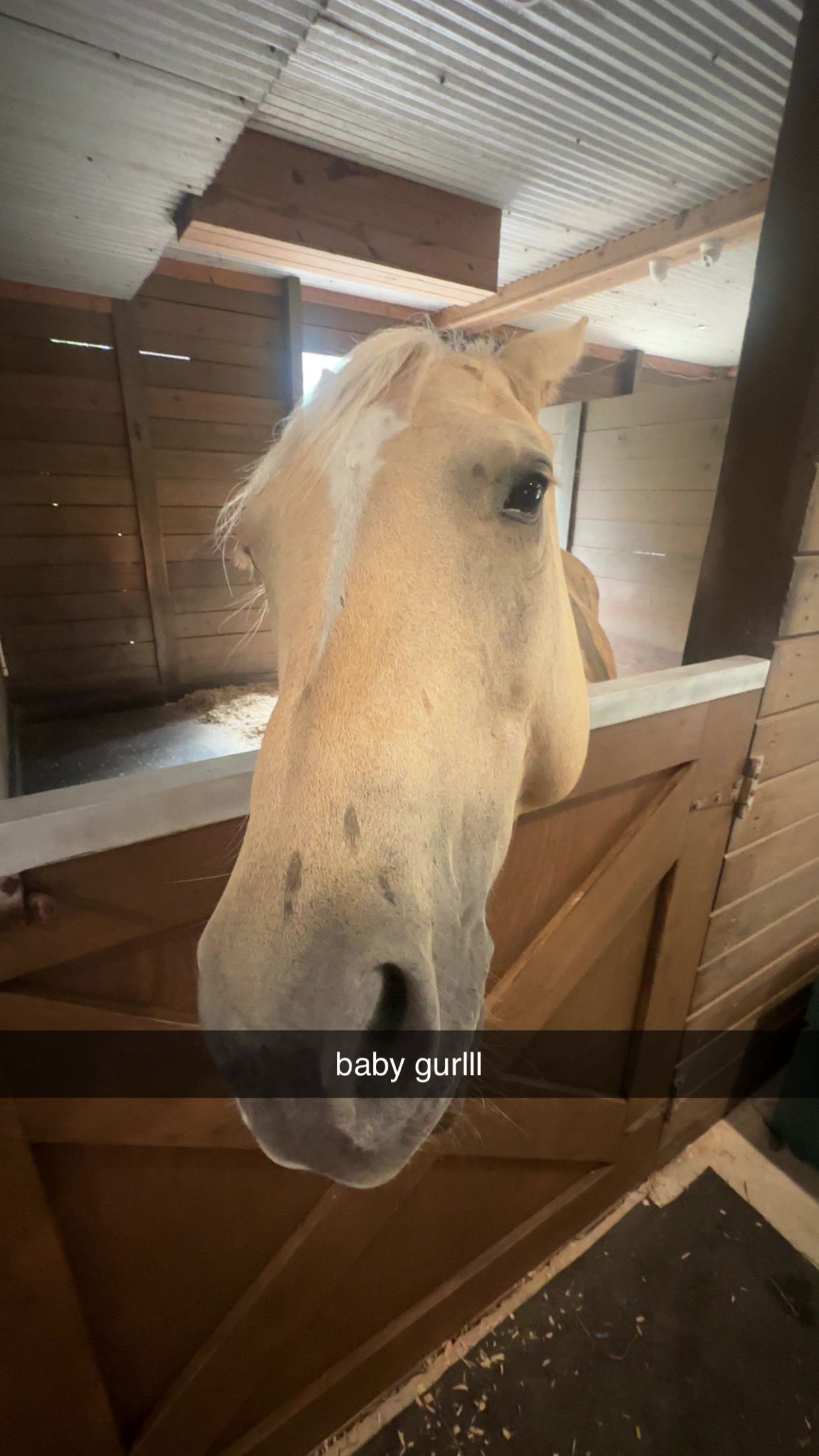 ellieblue2842 snapchat image archive image