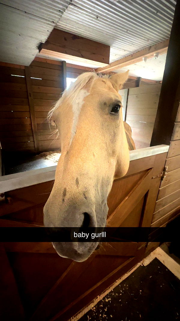 ellieblue2842 image ~ Altpins