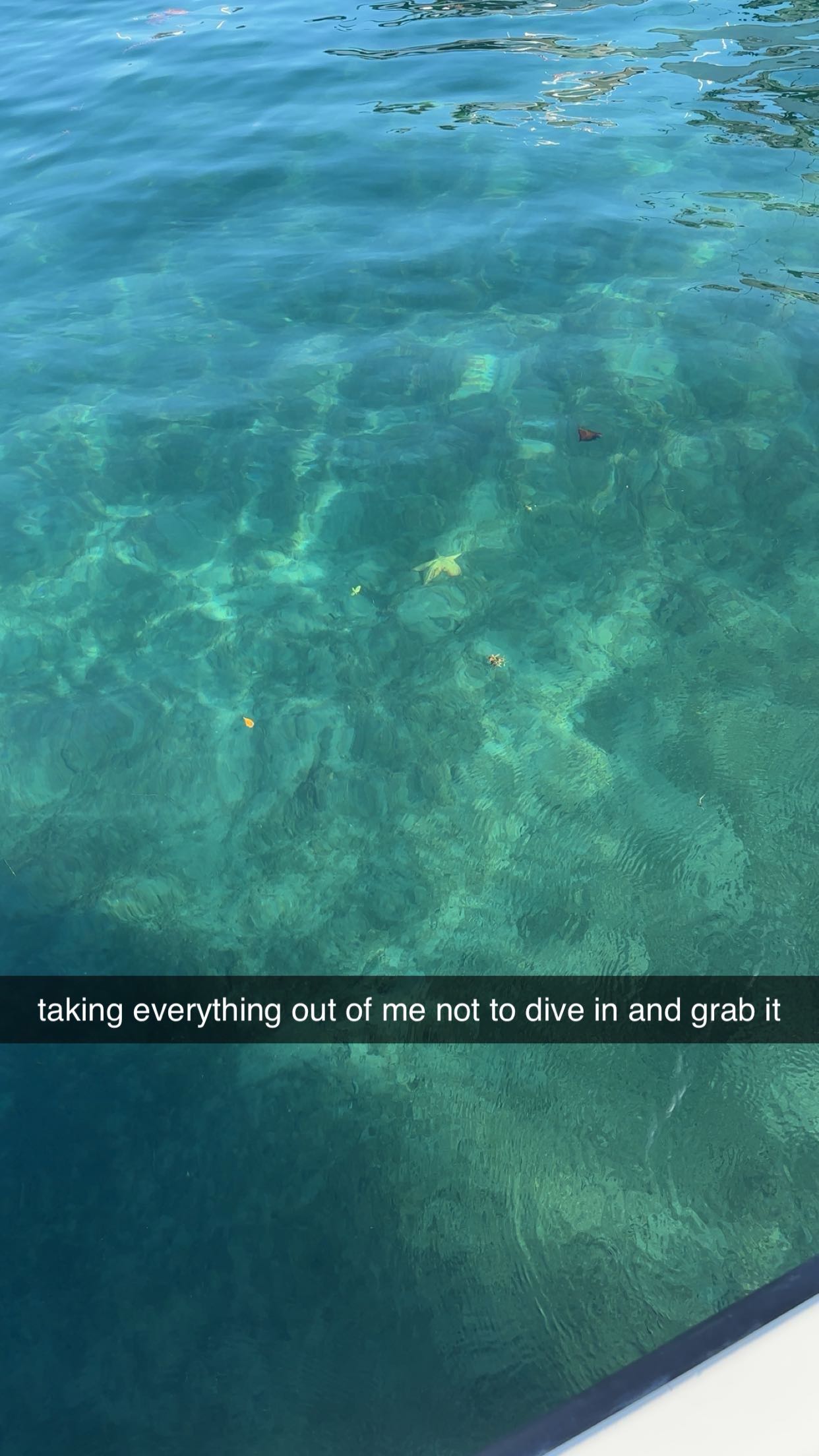 ellieblue2842 snapchat image archive image