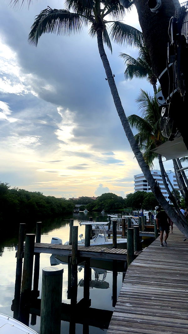 ellieblue2842 image ~ Altpins