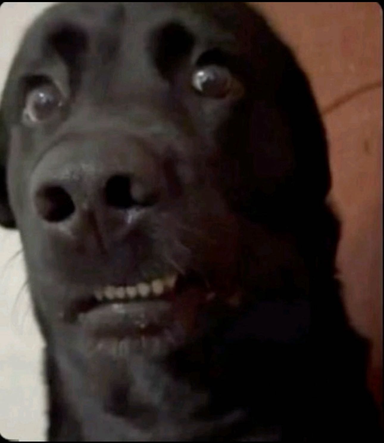 ellieblue2842 snapchat image archive image