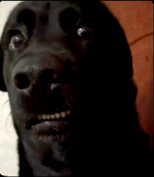 ellieblue2842 image ~ Altpins