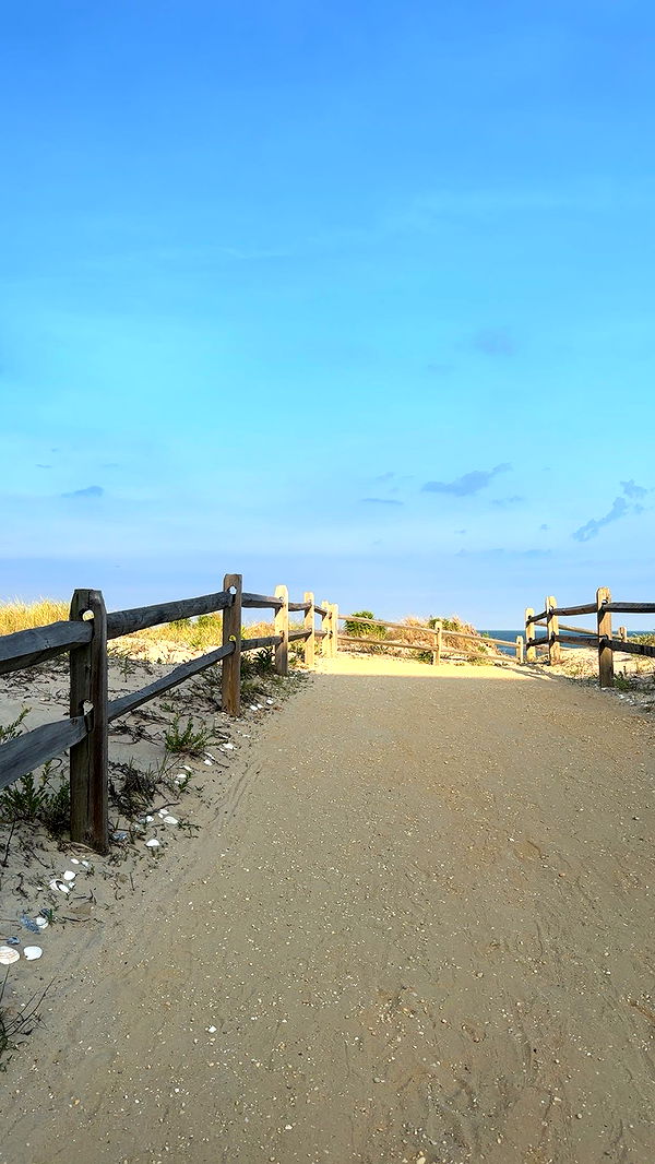 ellieblue2842 image ~ Altpins