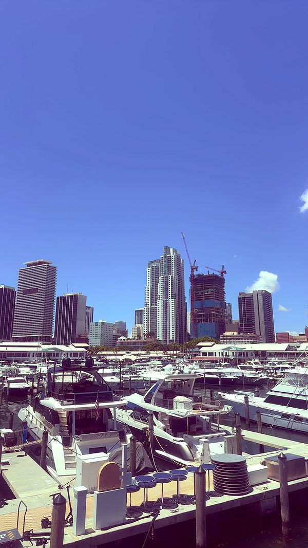 ellieblue2842 image ~ Altpins