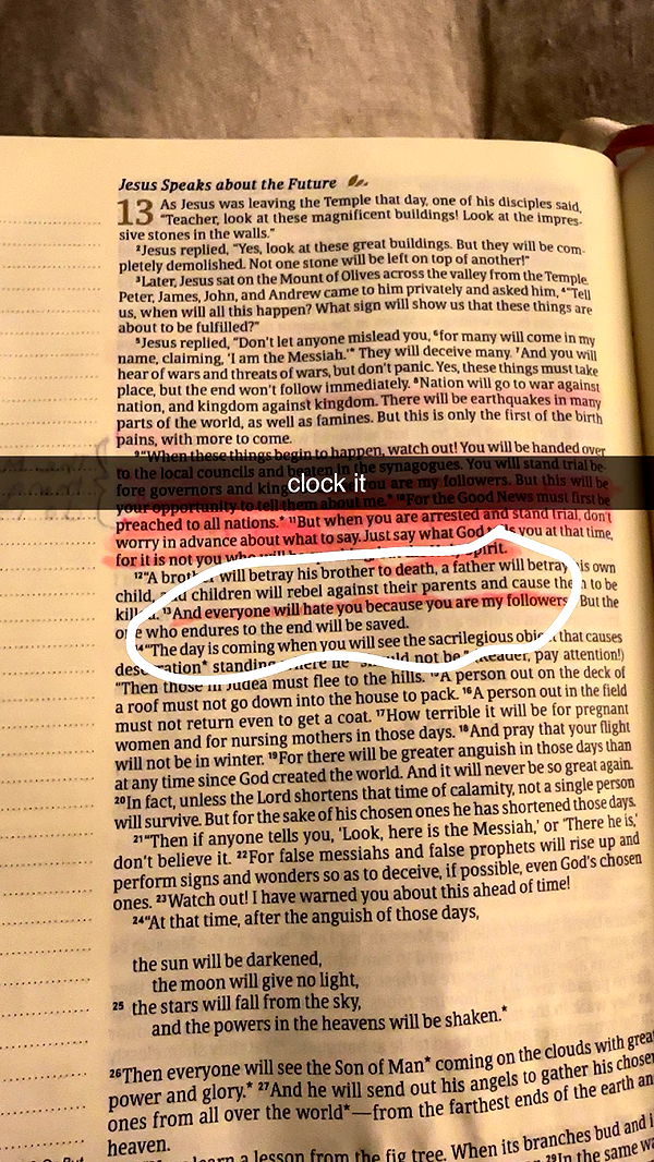 ellieblue2842 image ~ Altpins