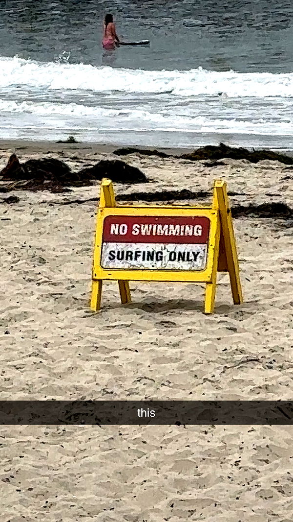 ellieblue2842 image ~ Altpins