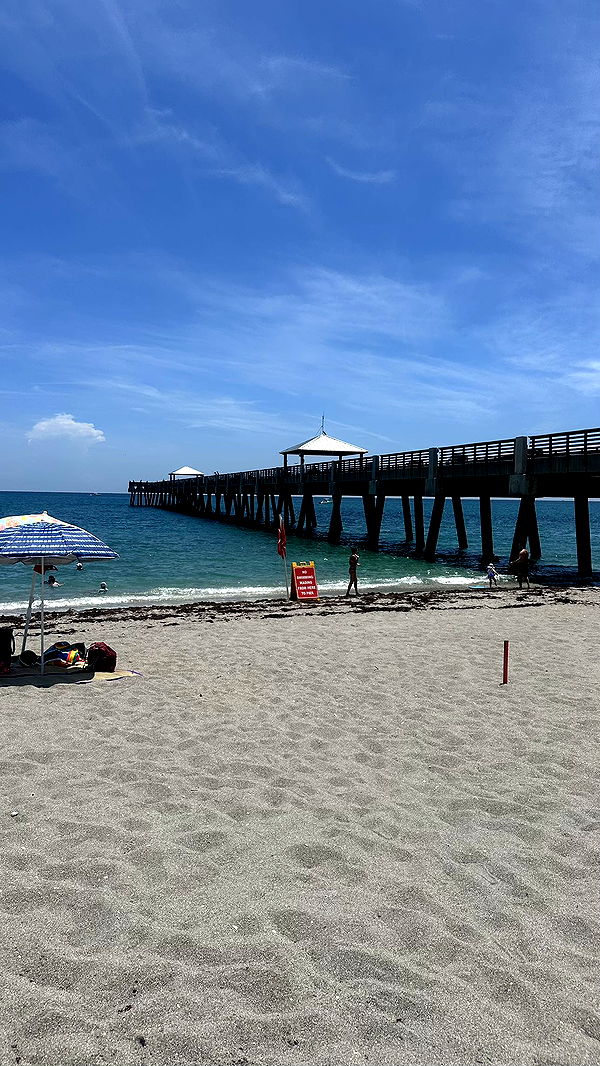 ellieblue2842 image ~ Altpins