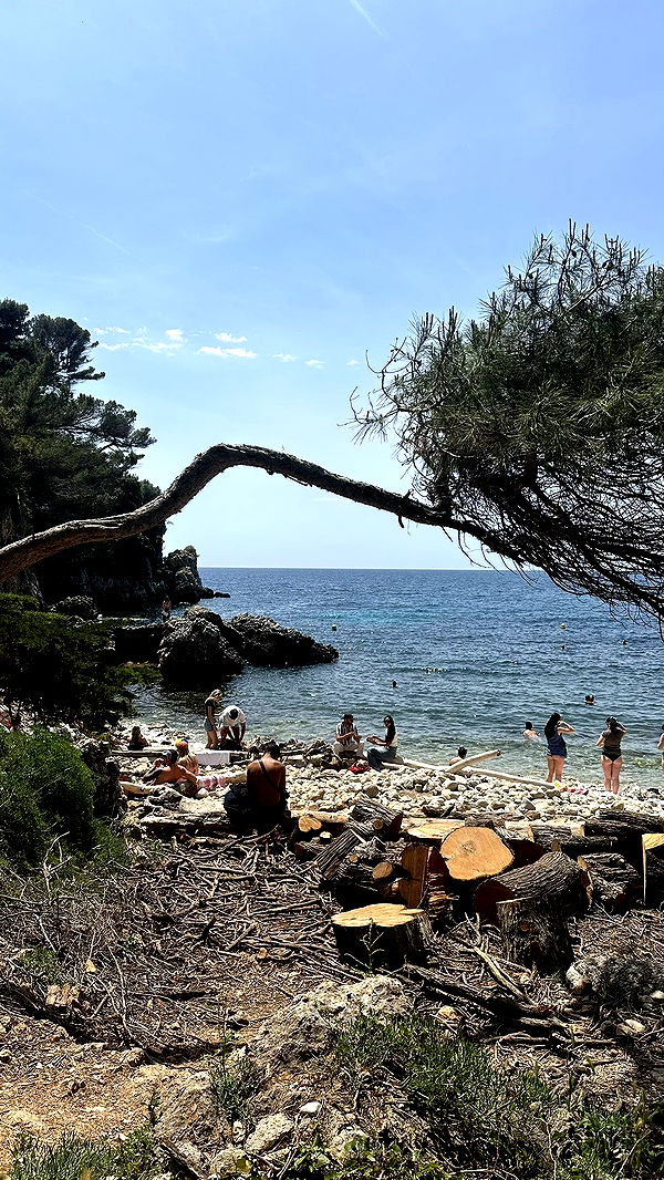 ellieblue2842 image ~ Altpins