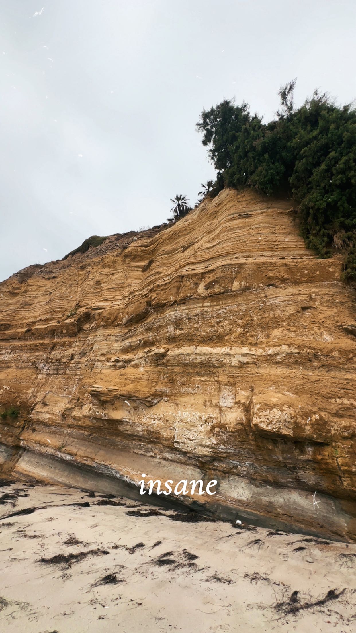 ellieblue2842 snapchat image archive image