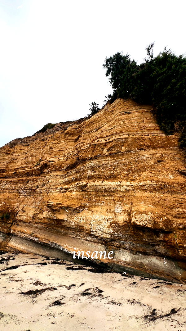 ellieblue2842 image ~ Altpins