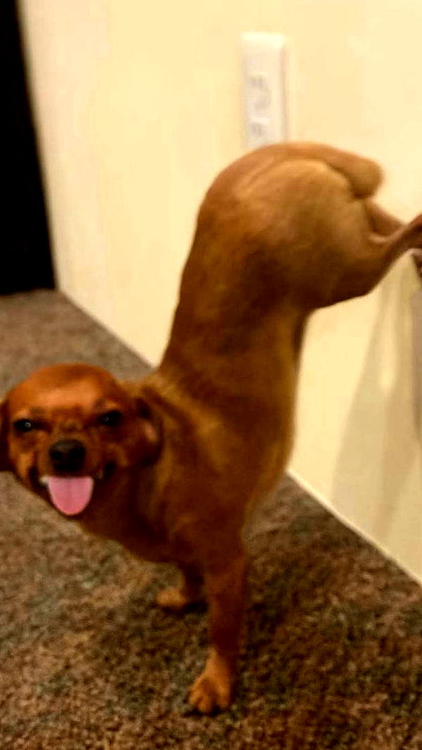 ellieblue2842 image ~ Altpins