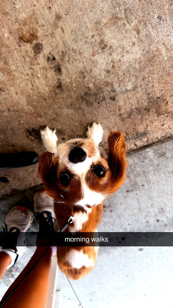 ellieblue2842 image ~ Altpins