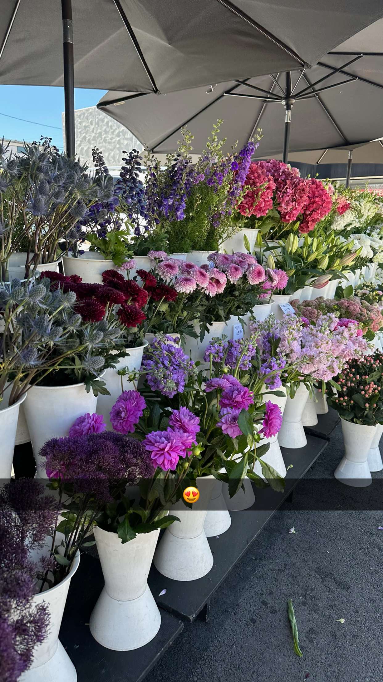 ellieblue2842 snapchat image archive image