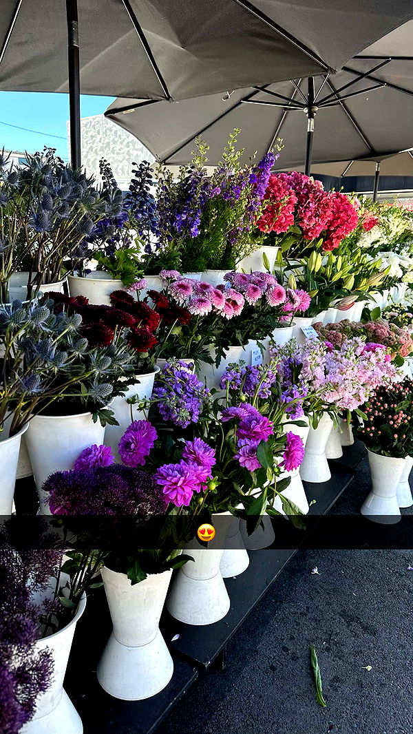 ellieblue2842 image ~ Altpins