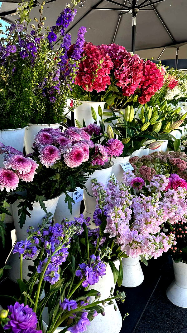 ellieblue2842 image ~ Altpins