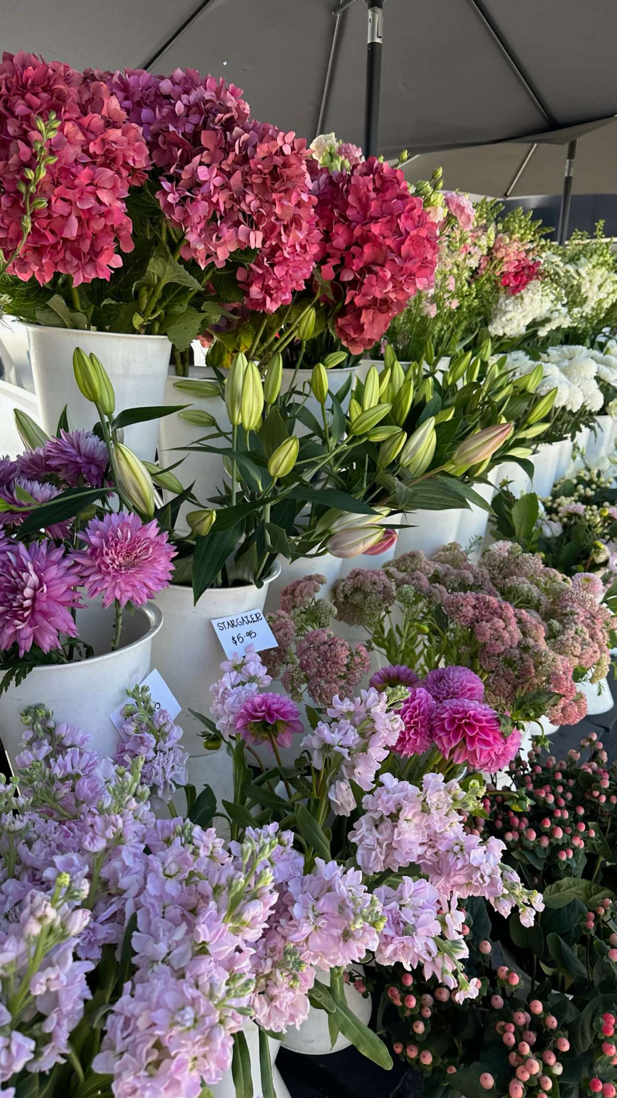 ellieblue2842 snapchat image archive image