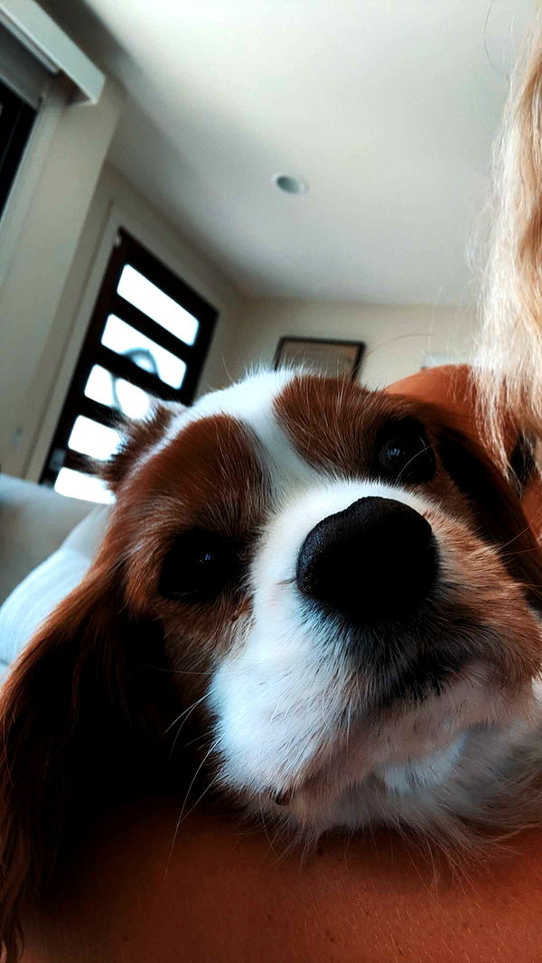 ellieblue2842 image ~ Altpins