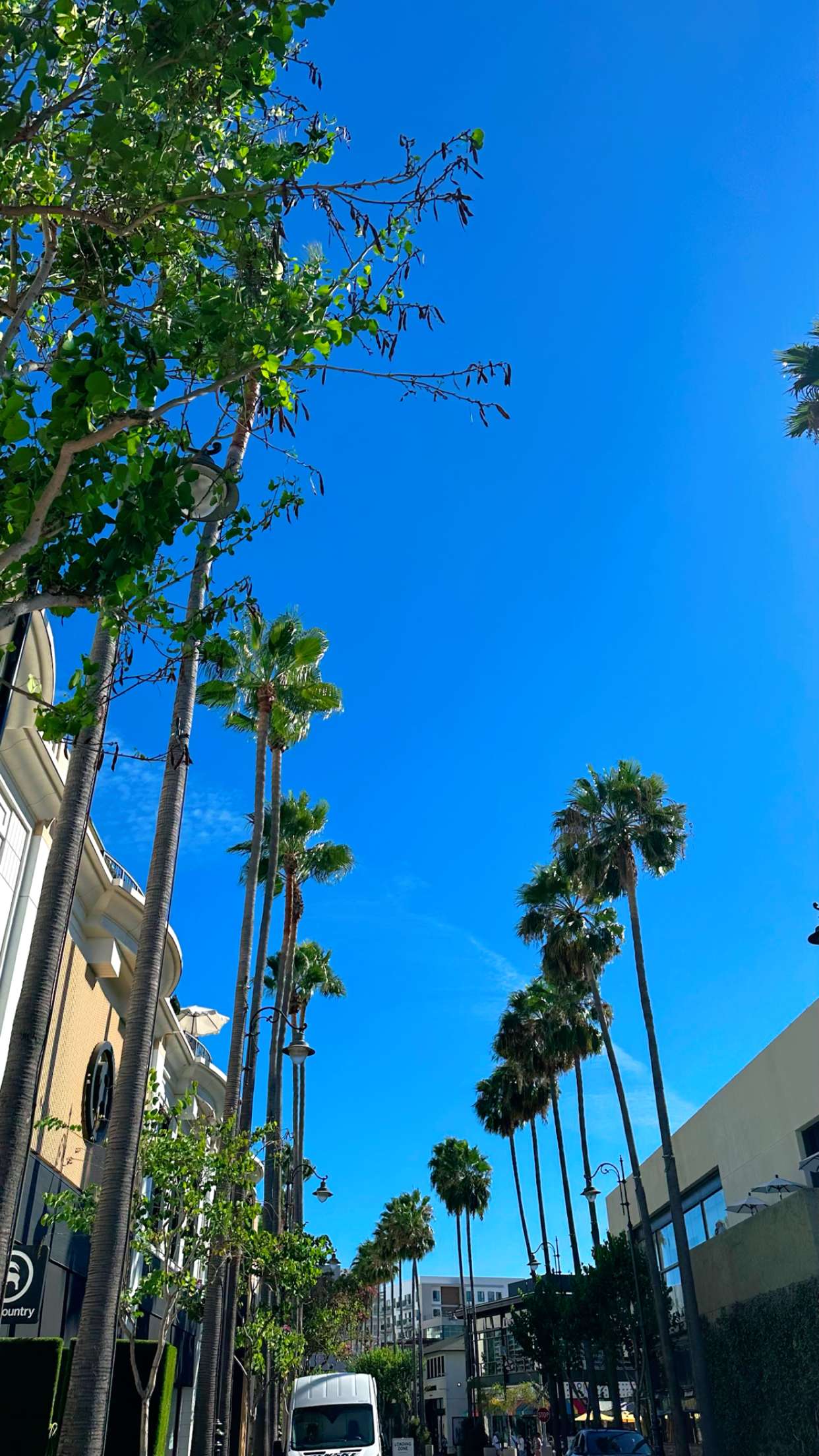 ellieblue2842 snapchat image archive image