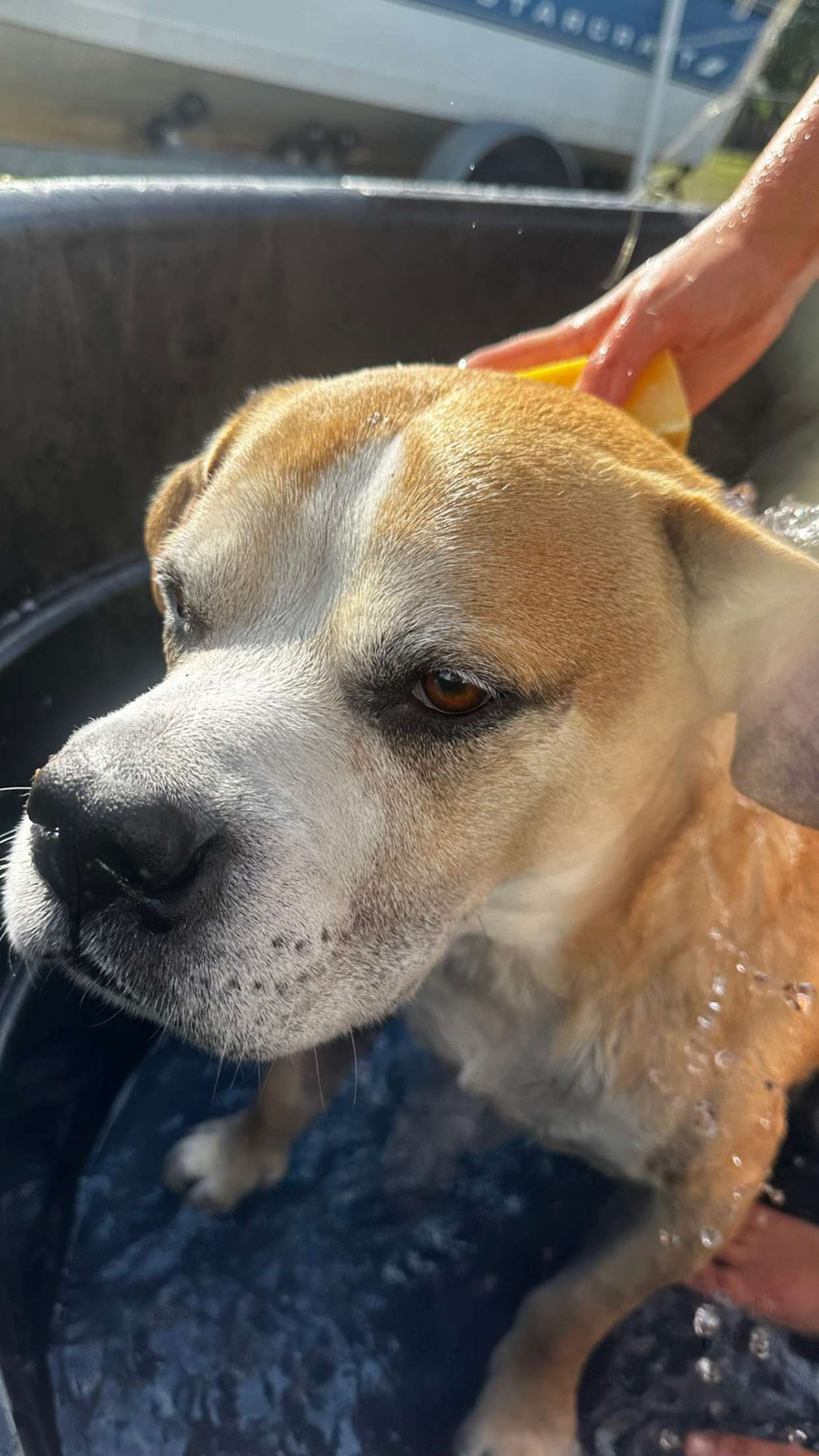 ellieblue2842 snapchat image archive image