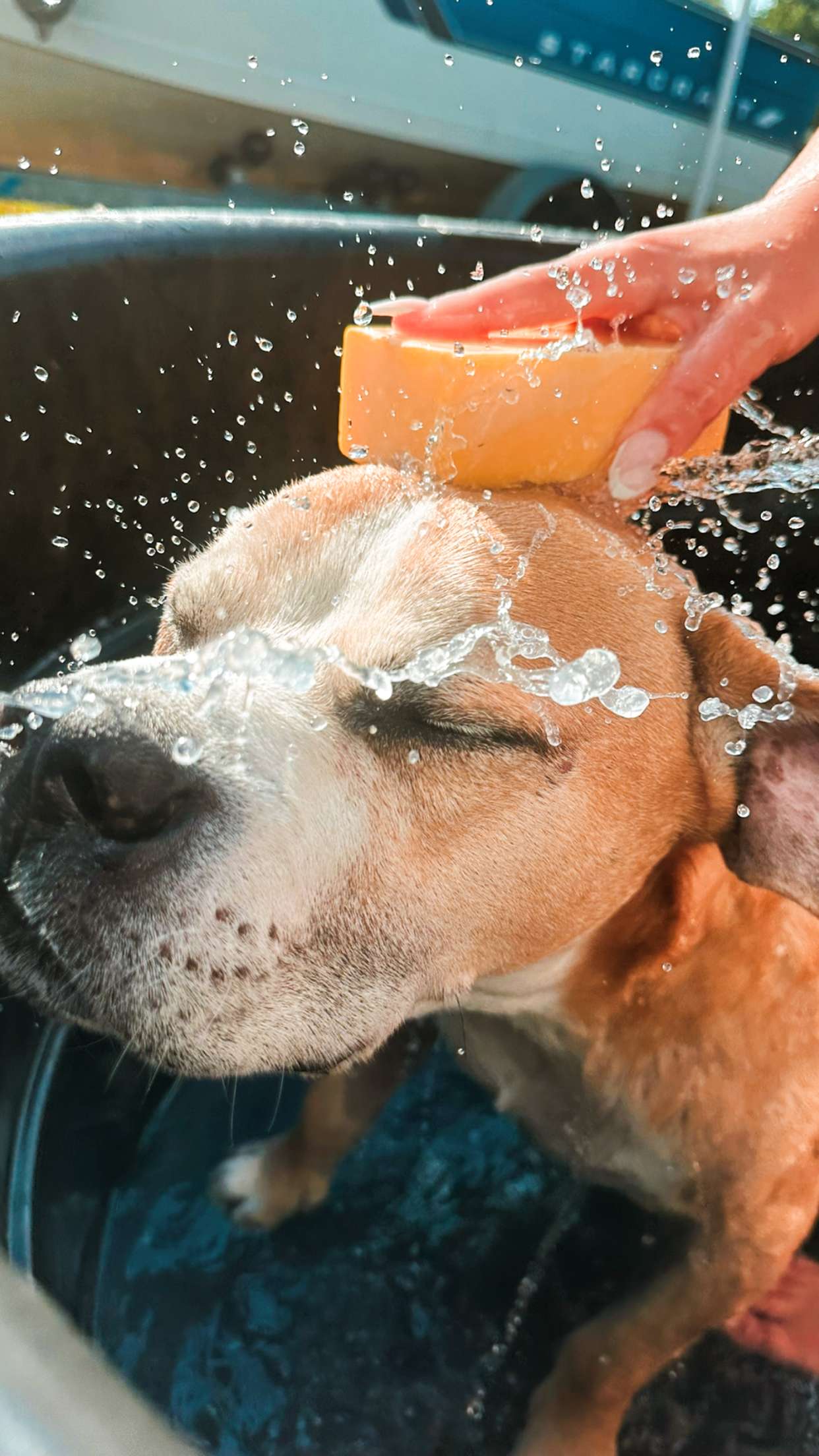 ellieblue2842 snapchat image archive image