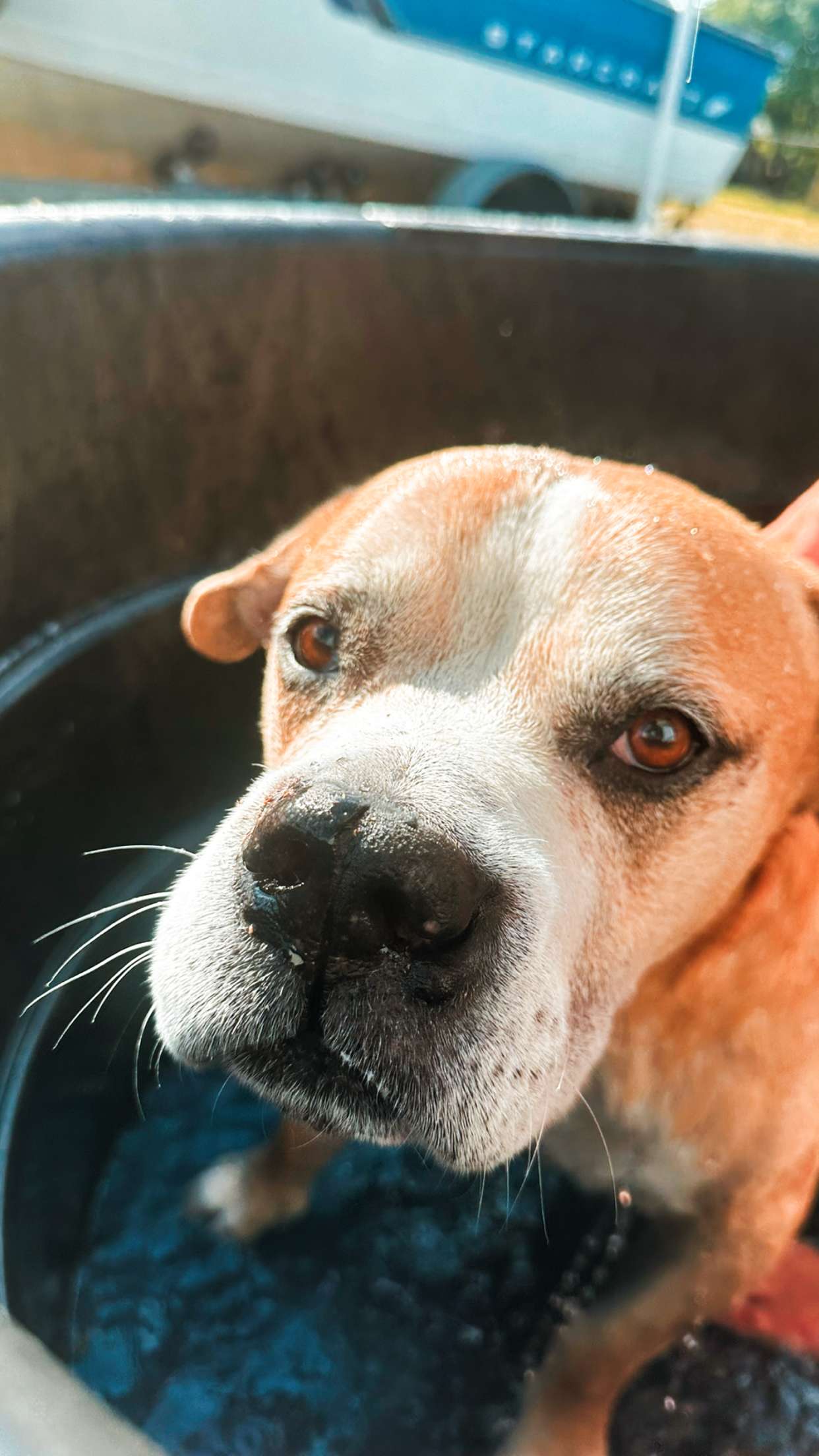 ellieblue2842 snapchat image archive image