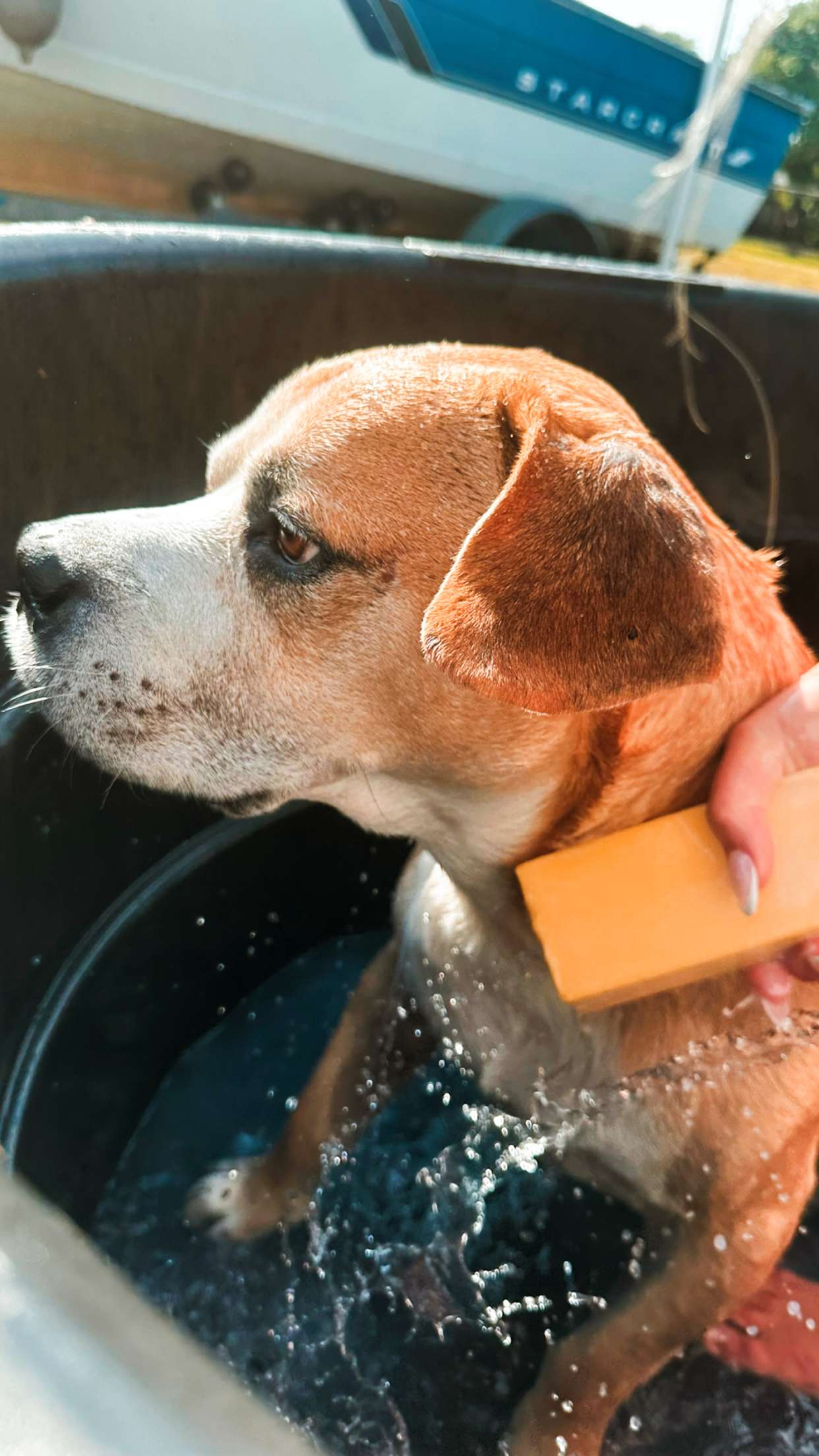 ellieblue2842 snapchat image archive image