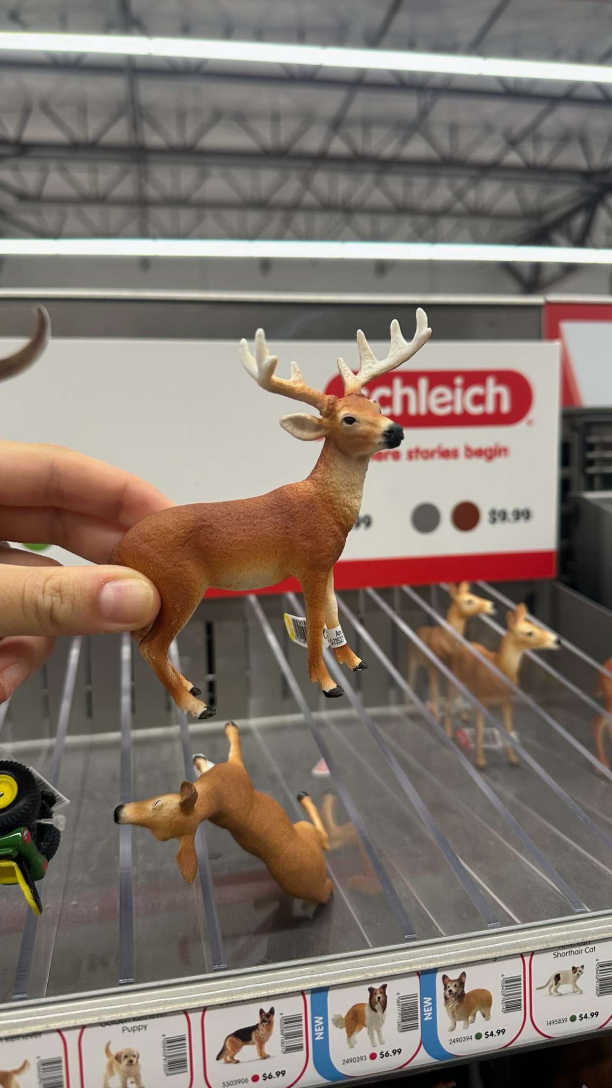 ellieblue2842 snapchat image archive image