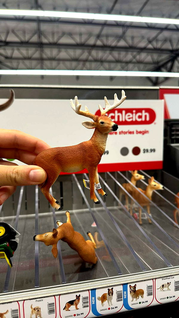 ellieblue2842 image ~ Altpins