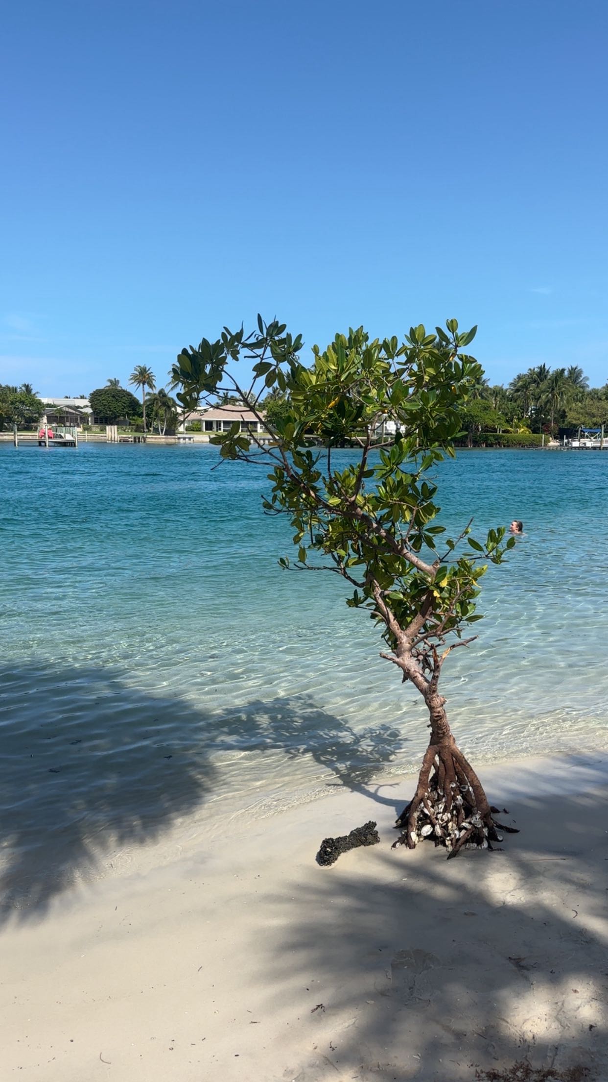 ellieblue2842 snapchat image archive image