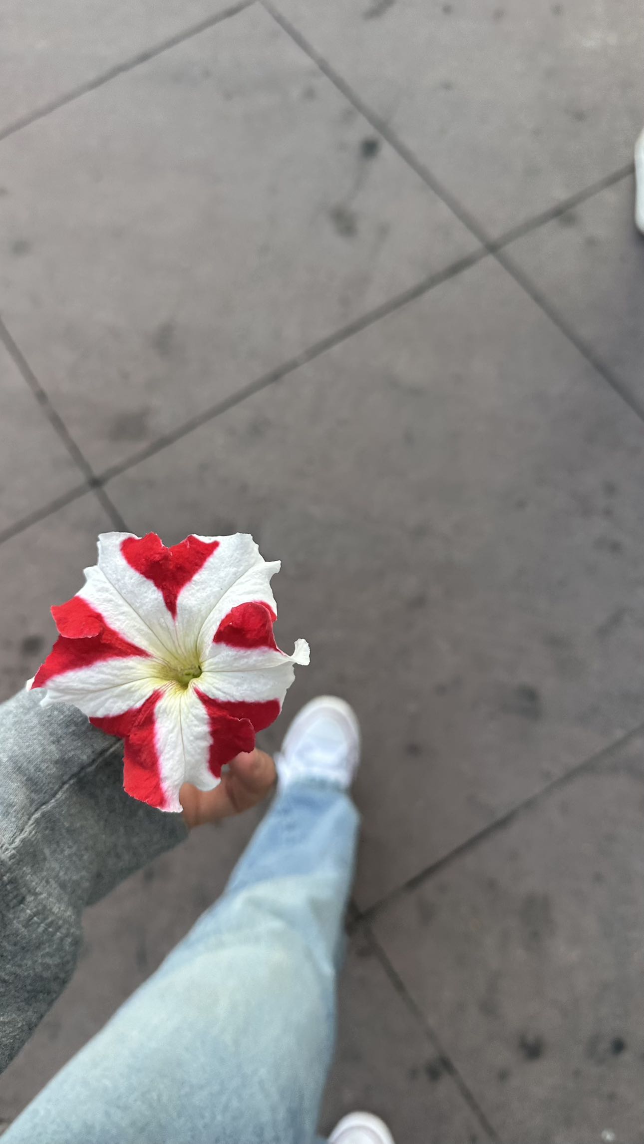 ellieblue2842 snapchat image archive image