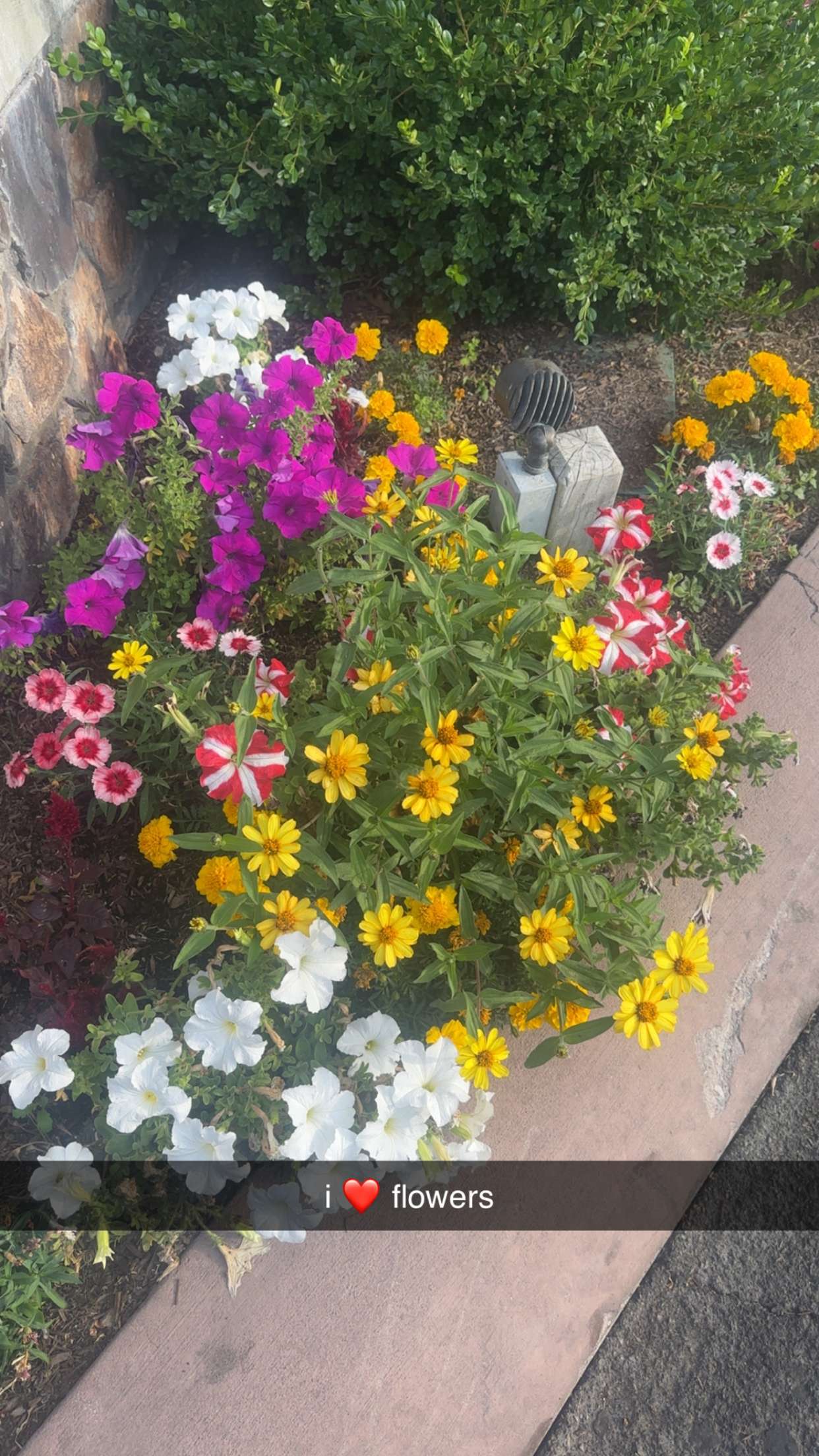 ellieblue2842 snapchat image archive image