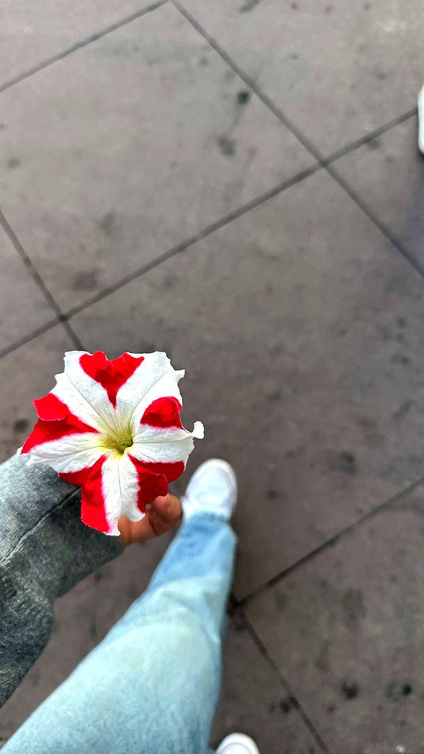 ellieblue2842 image ~ Altpins