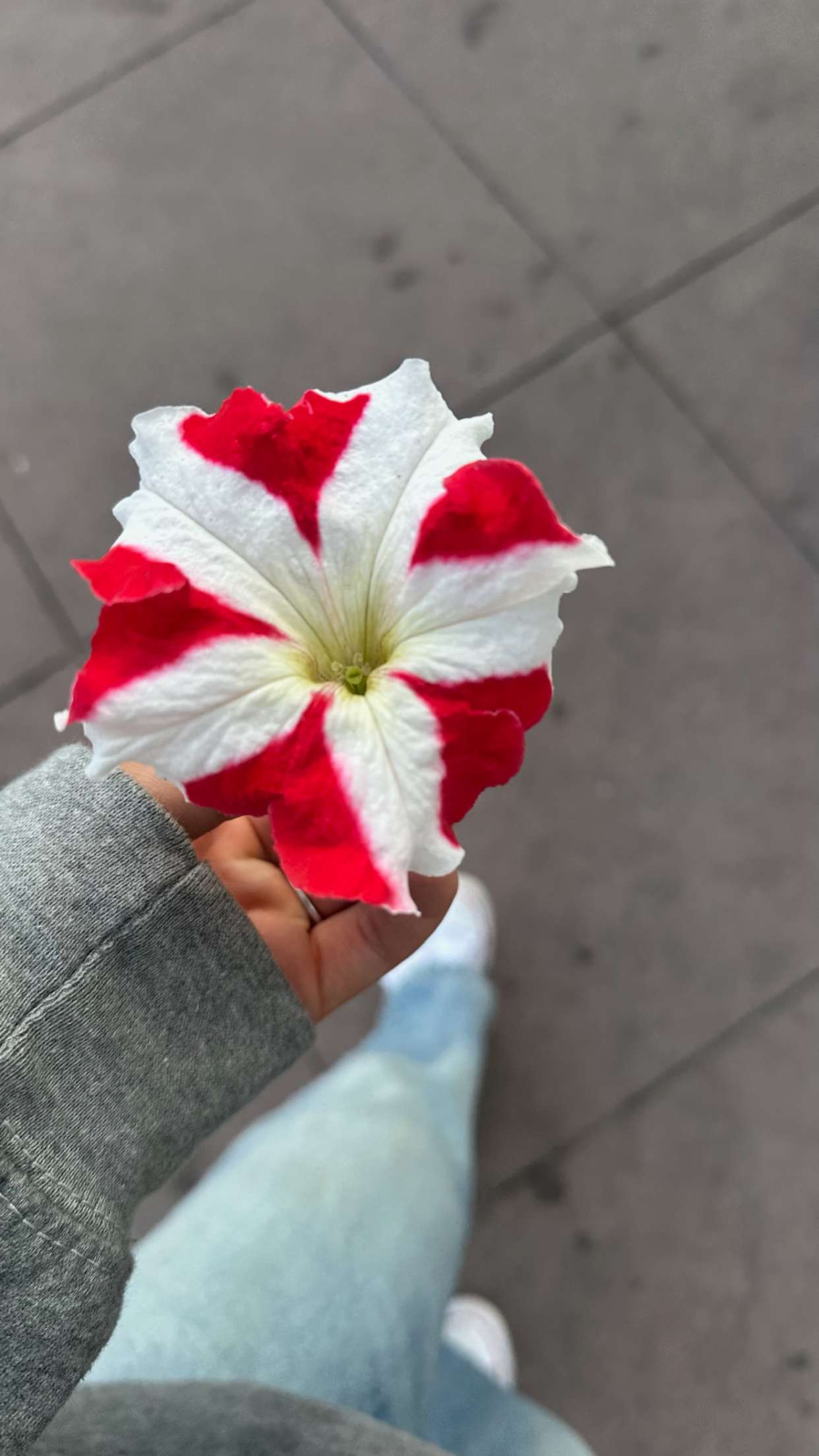 ellieblue2842 snapchat image archive image