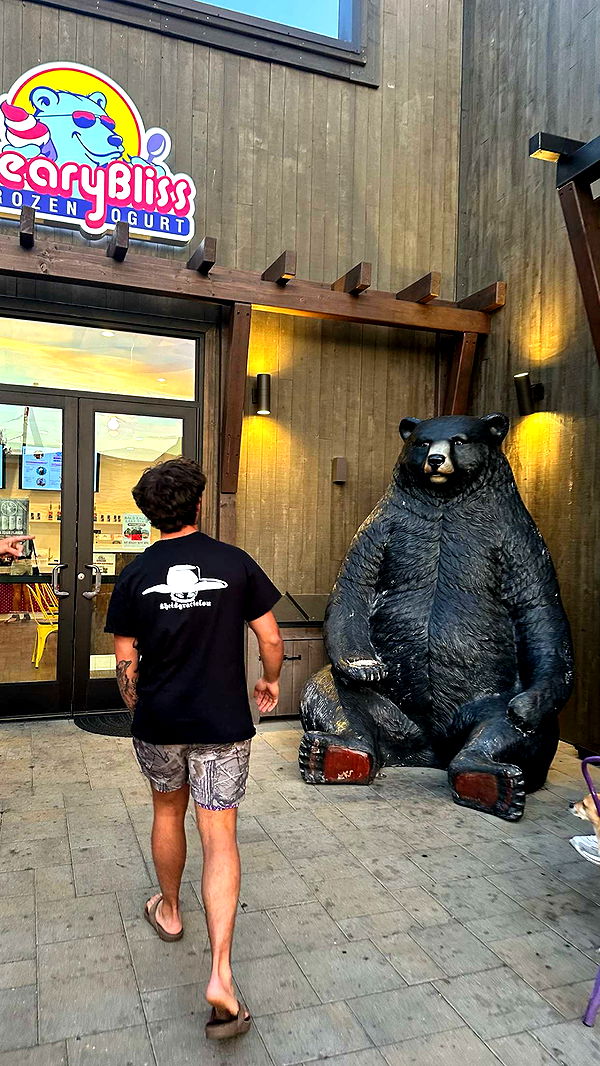 ellieblue2842 image ~ Altpins