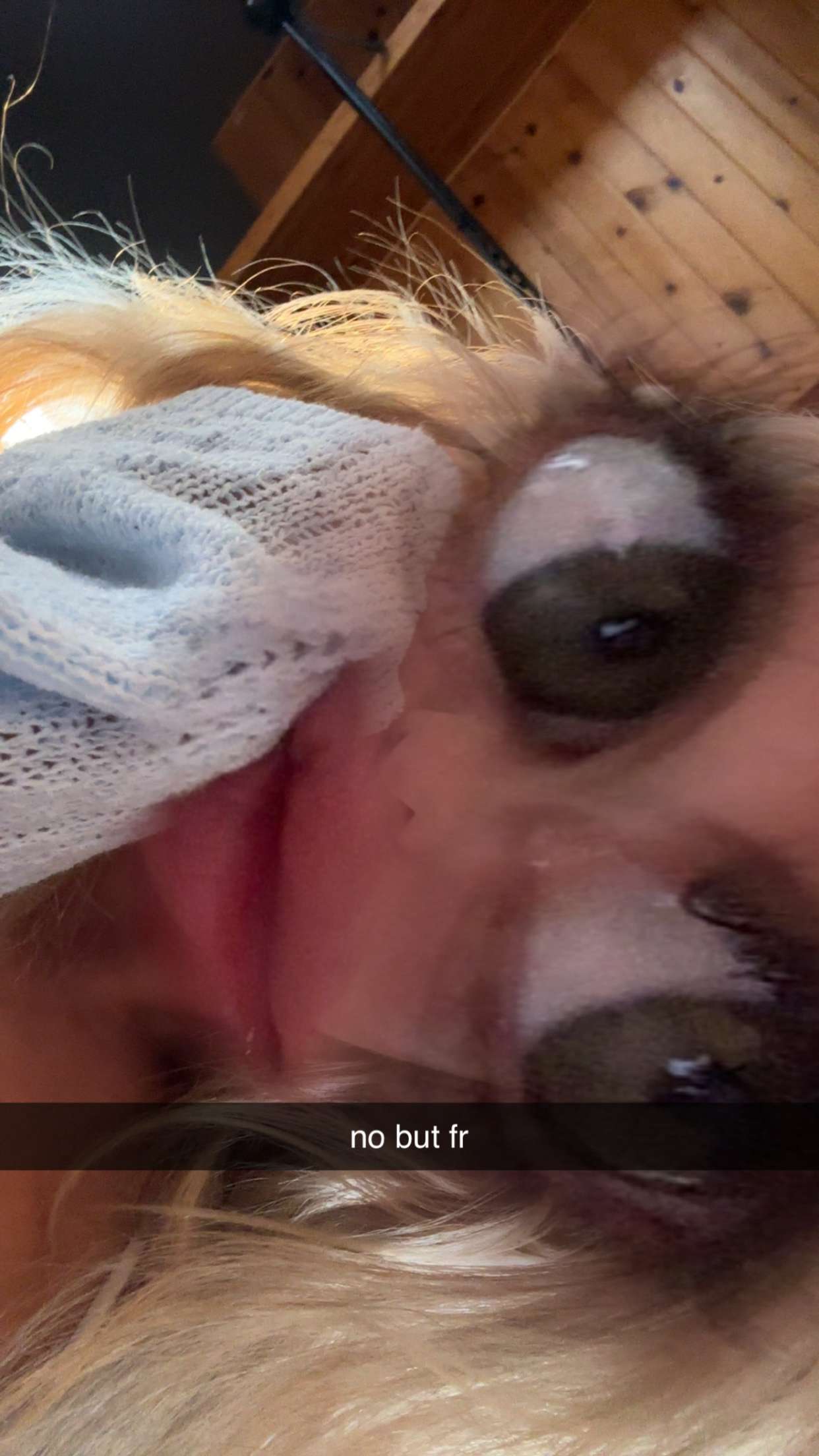 ellieblue2842 snapchat image archive image