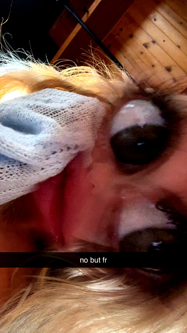 ellieblue2842 image ~ Altpins