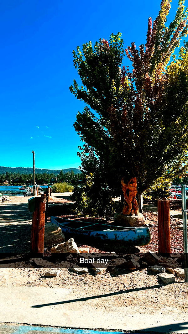 ellieblue2842 image ~ Altpins