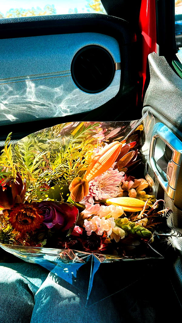 ellieblue2842 image ~ Altpins