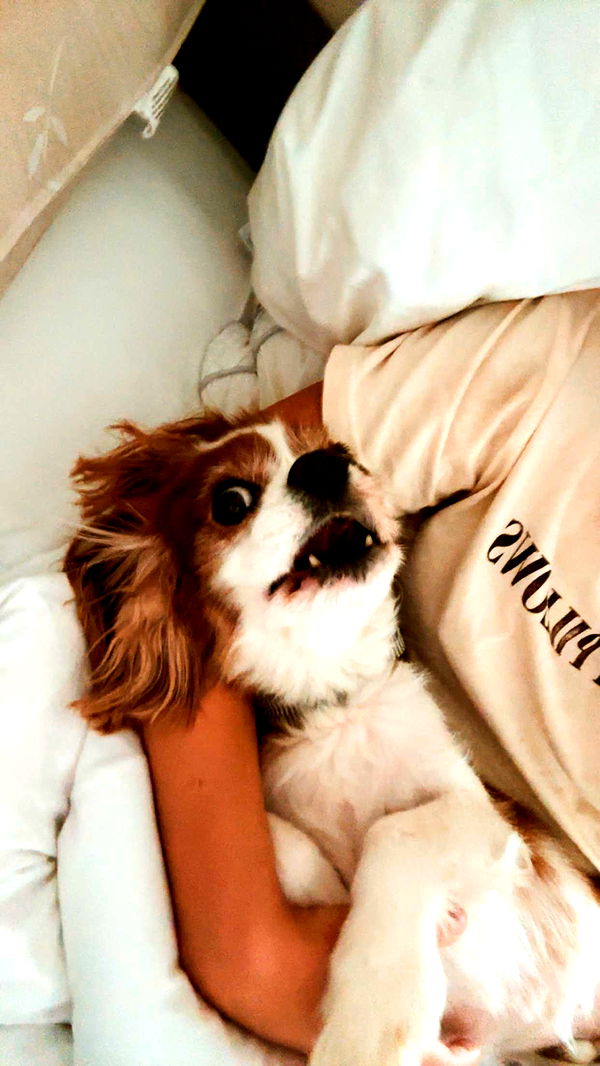 ellieblue2842 image ~ Altpins