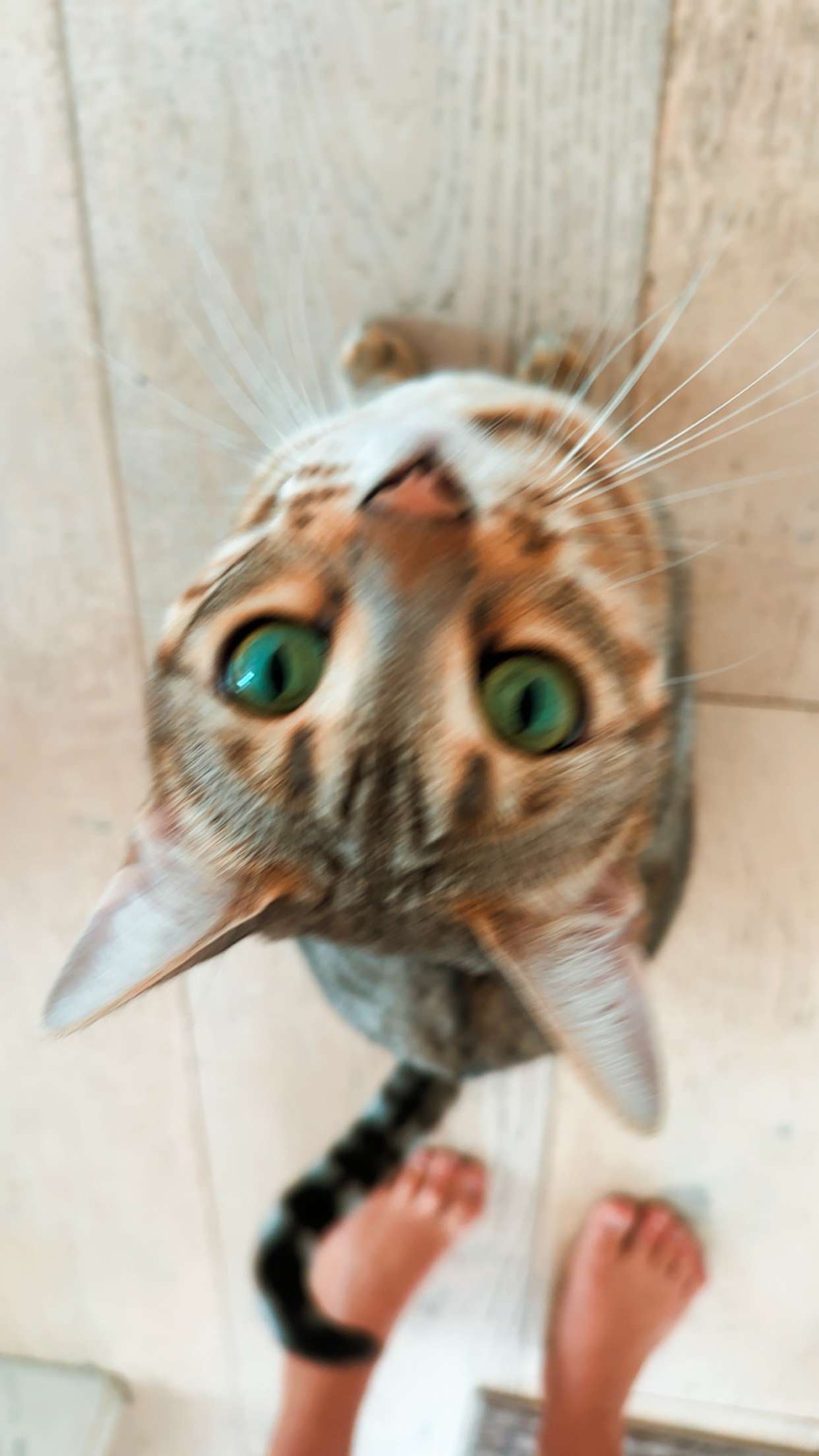 ellieblue2842 snapchat image archive image