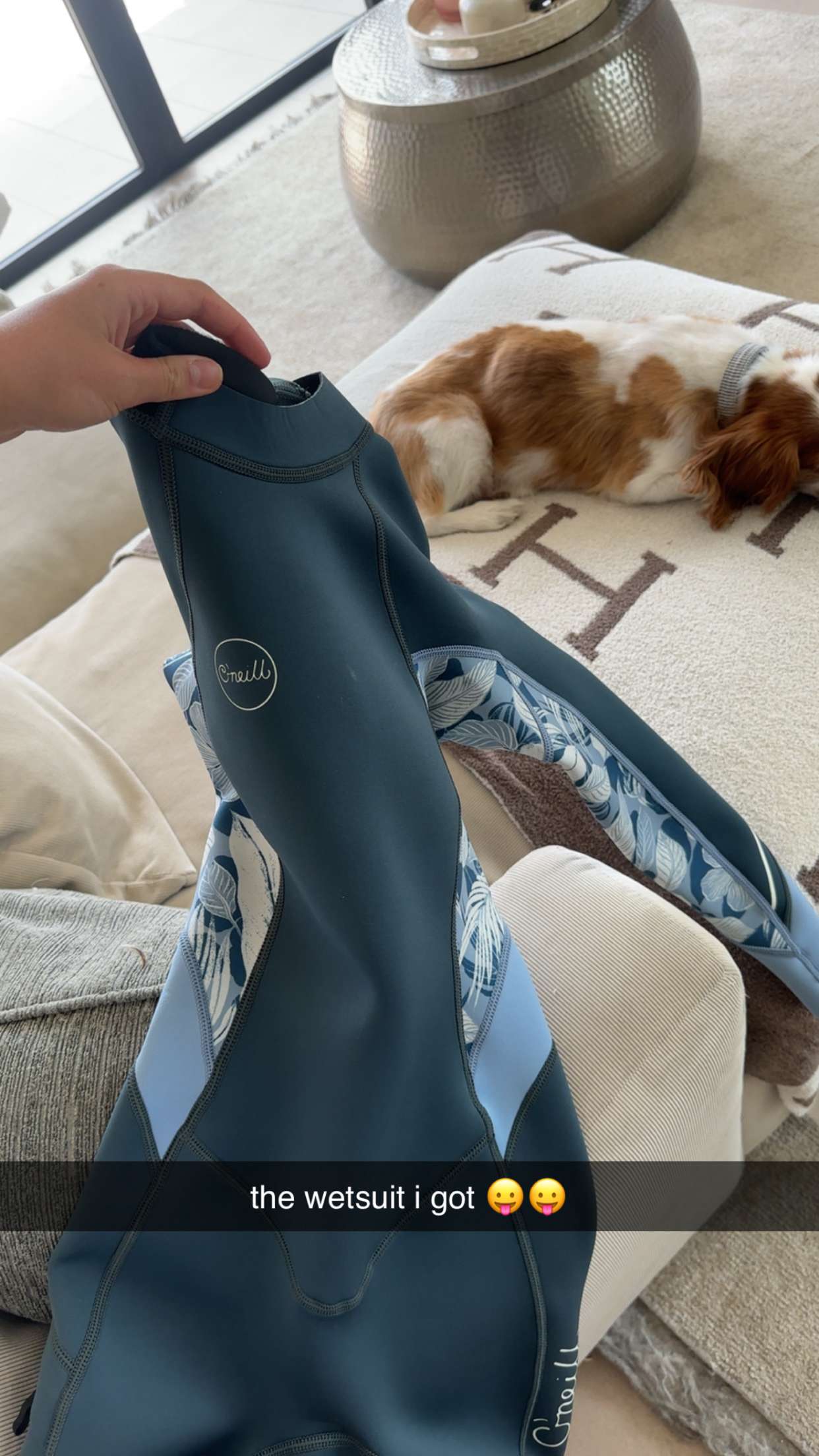 ellieblue2842 snapchat image archive image