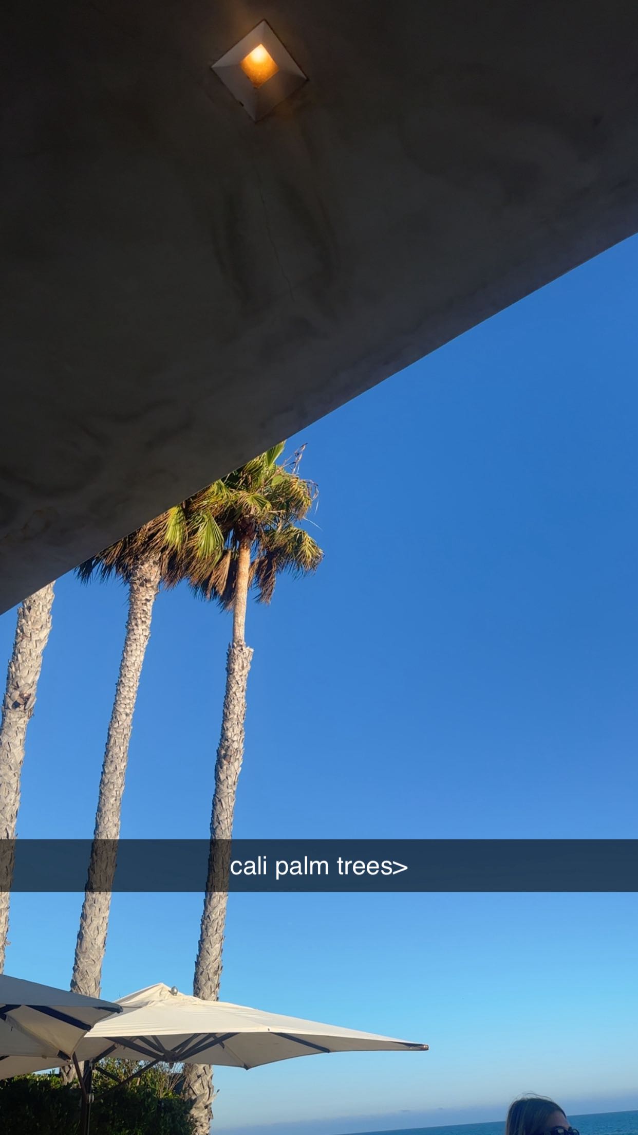 ellieblue2842 snapchat image archive image